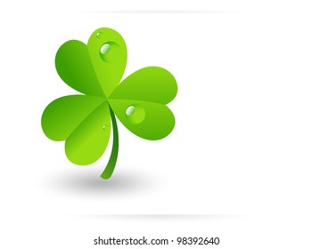 Water Drops on Clover Leaf