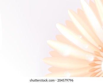 Water drops on elegant gerbera petals. plus EPS10 vector file
