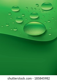 Water drops on fresh green leaf illustration