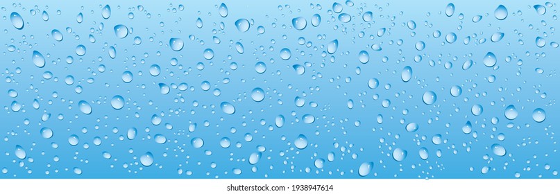 water drops on glass vector