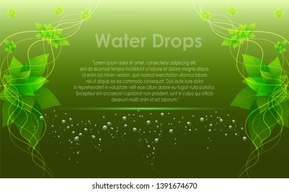 water drops on green background, rain drop