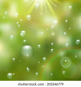 Water drops on green background. plus EPS10 vector file