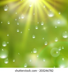 Water drops on green background. plus EPS10 vector file