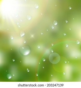 Water drops on green background. plus EPS10 vector file