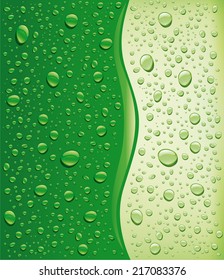 water drops on green background