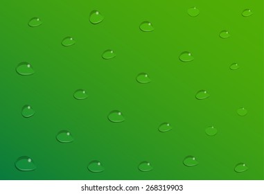 Water drops on green background. Vector illustration.
