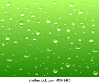 Water drops on green background