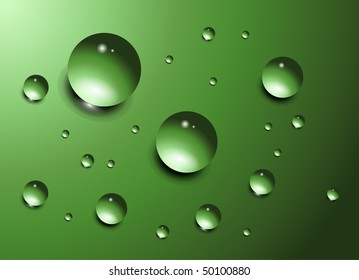 Water drops on green background, vector.