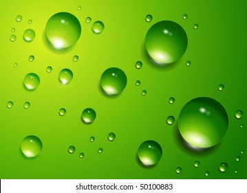 Water drops on green background, vector.