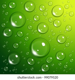 Water drops on green background