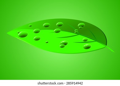 Water drops on green leaf