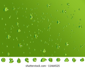 Water drops on green surface (vector)