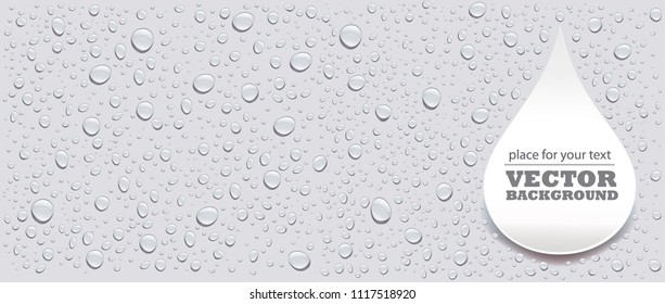 water drops on grey background and place for your text