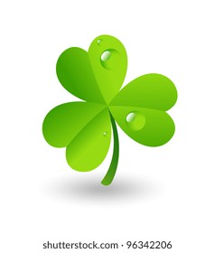 Water Drops on Shamrock