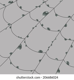 Water drops on a spider web svg
