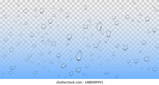 water drops on transparent background.