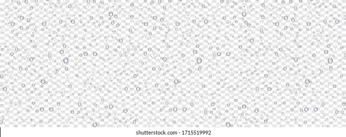 Water drops on transparent background, realistic style, vector elements. Clean drop condensation. Vector pure bubbles on window glass