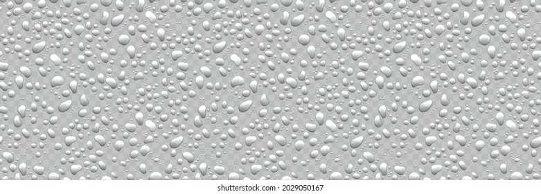 Water drops on transparent background. Condensation of realistic pure rain droplets