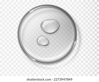 Water drops on transparent petri dish isolated realistic vector illustration.Transparent glass round displays, gel texture