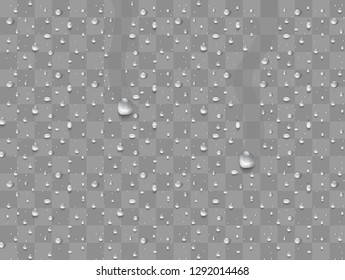 Water drops. Raindrops or showers, condensation on the glass. dew after rain. isolated on transparent background. Realistic drops of pure water thicken. Vector clear steam bubbles.