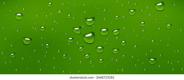 Water drops, realistic droplets of liquid on a green background.