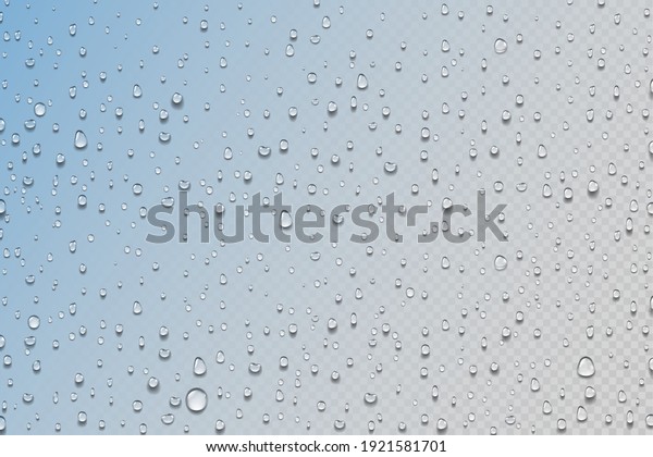 Water drops. Realistic rain droplets on window.\
Shower glass. Round aqua drips on transparent background. Wet\
surface with color gradient effect. Decorative humid texture.\
Vector condensation or\
dew