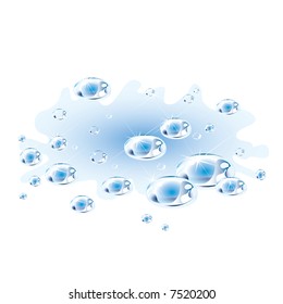 Water Drops (vector). In the gallery also available XXL jpeg image made from this vector