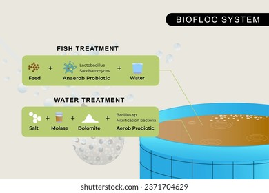 Water and Fish Treatment in fish farming using the biofloc system