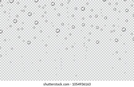 Water fizzing bubbles texture on transparent background. Vector illustration. 
