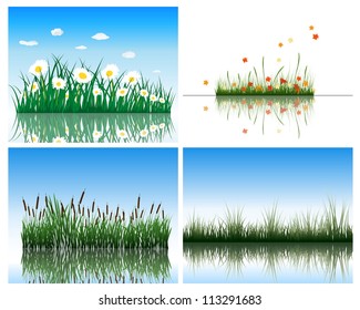 Water flora background set. Four images. Vector illustration.