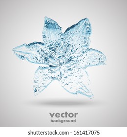 water flower splashes isolated on white, vector background