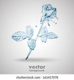 water flower splashes isolated on white, vector background