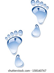 Water Footprint