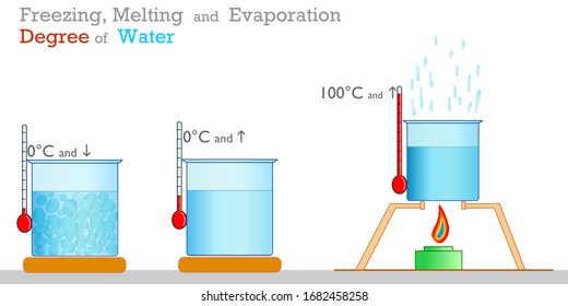 Water freezing, boiling, melting centigrade degrees. Liquids, fluids. Thermometer, test container, temperature gauge and cooker. Physics, chemistry samples.  Study, school. 2d vector illustration