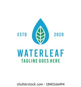 Water Green Leaf Logo design Vector