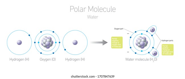  Water H2O molecule isotopes - example of polar molecule / Chemistry Vector Illustration