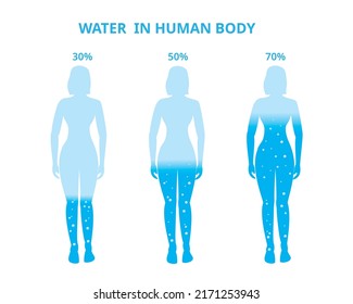 Water in the human body. Female, Difference percentage . Vector Illustration