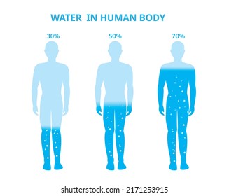 Water Human Body Male Difference Percentage Stock Vector (royalty Free 