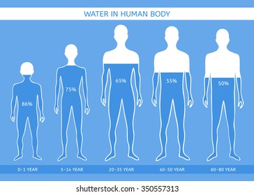 Water in human body. The man at different ages