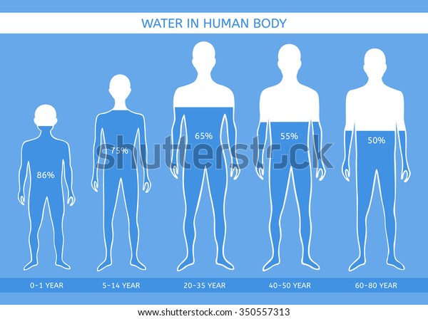 Agua En El Cuerpo Humano El Hombre De Diferentes Edades