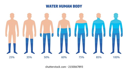 Water human body set of isolated infographic elements with body shapes filled with water with percentage vector illustration