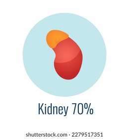 Water in human organ kidney flat icon vector illustration