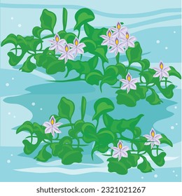 Water Hyacinth Plants Colorful Vector Illustration