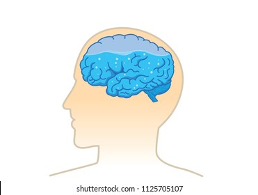 Water inside of the human brain. Illustration about composition of body.