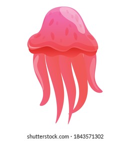 Water jellyfish icon. Cartoon of water jellyfish vector icon for web design isolated on white background