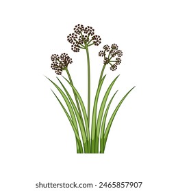 water lake plant cartoon. pond river, landscape reed, grass forest water lake plant sign. isolated symbol vector illustration