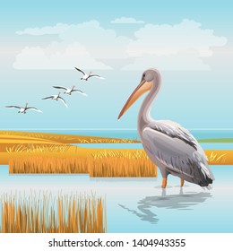 Water landscape with a pelican and a flying flock of birds. Realistic vector illustration