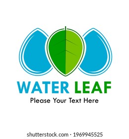 Water leaf logo template illustration