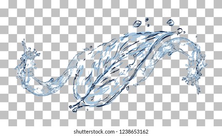 Water leaf. Realistic vector illustration.