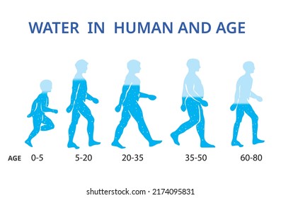 256 Body water percentage Images, Stock Photos & Vectors | Shutterstock